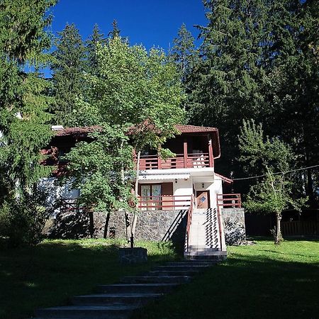 Vila Carolyne Predeal Exterior foto